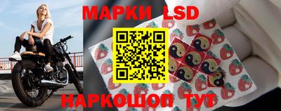 дмт Сланцы