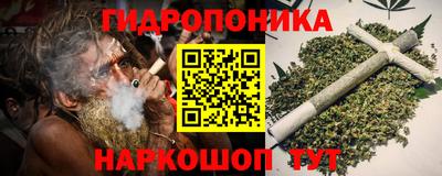 дмт Сланцы