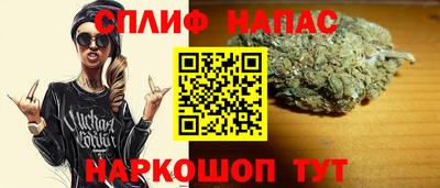 дмт Сланцы