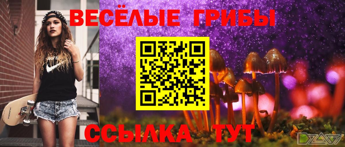 магазин продажи наркотиков  Псилоцибиновые грибы GOLDEN TEACHER  Оренбург  Вход с VPN  Галлюциногенные грибы Psilocybe 